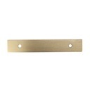 PLACA COLOR DORADO P/CAVA . COD.VAC-PLACA-LM